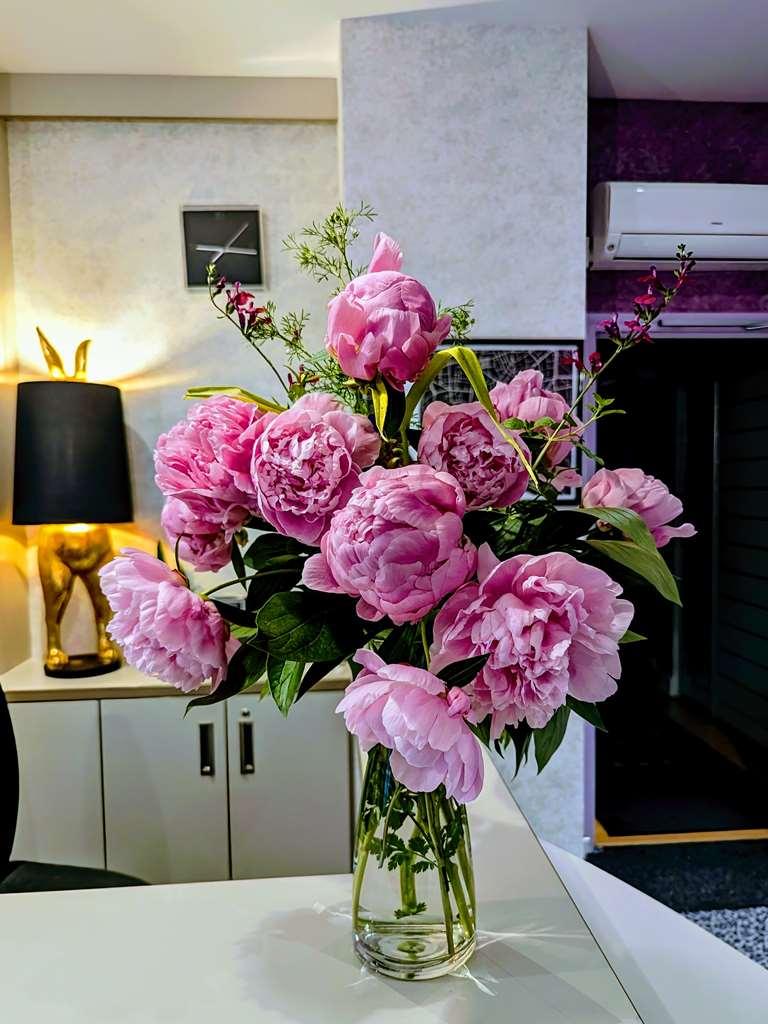 Hotel Arverna Vichy - Clt'Hotel Bilik gambar